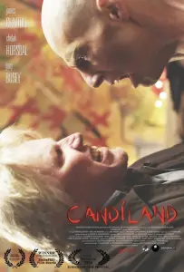 Страна грёз (фильм 2016)
