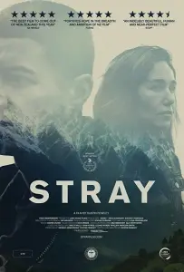 Заблудшие (фильм 2018)