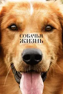 Собачья жизнь (фильм 2017)