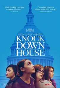 Снести Большой Дом (фильм 2019)