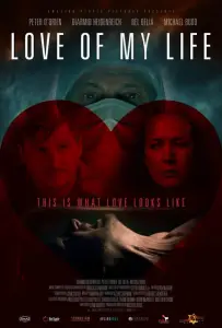 Любовь моей жизни (фильм 2013)