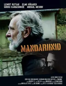 Мандарины (фильм 2013)