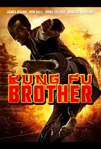 Кунг Фу Братья (фильм 2014)