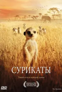 Сурикаты (фильм 2007)