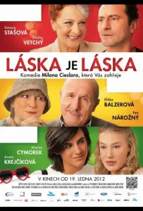 Любовь есть любовь (фильм 2012)
