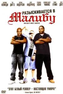 Разыскиваются в Малибу (фильм 2003)
