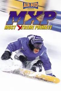 Король сноуборда (фильм 2002)