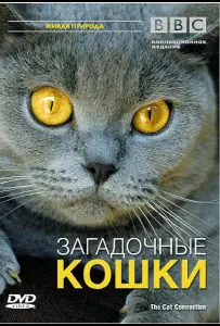BBC: Загадочные кошки (фильм 2002)